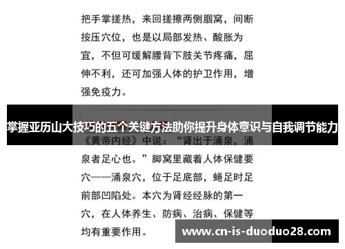 掌握亚历山大技巧的五个关键方法助你提升身体意识与自我调节能力