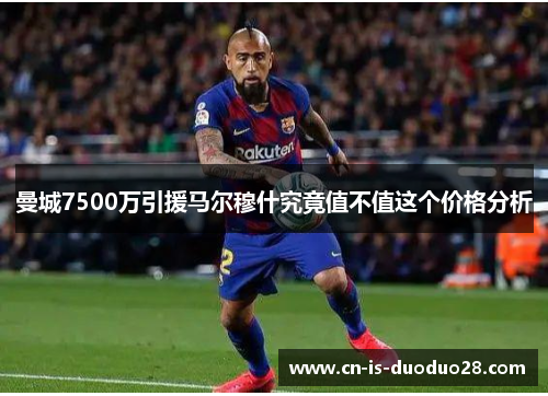 曼城7500万引援马尔穆什究竟值不值这个价格分析