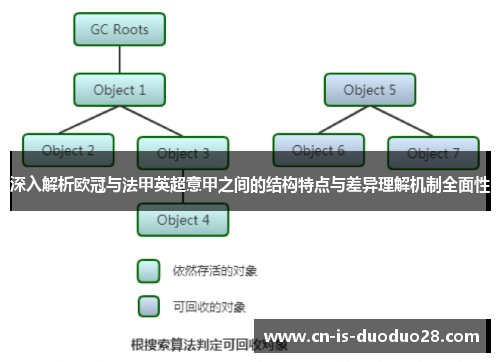 深入解析欧冠与法甲英超意甲之间的结构特点与差异理解机制全面性
